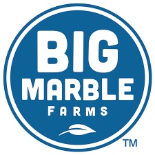 Big Marble Logo