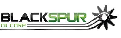 Black Spur Logo